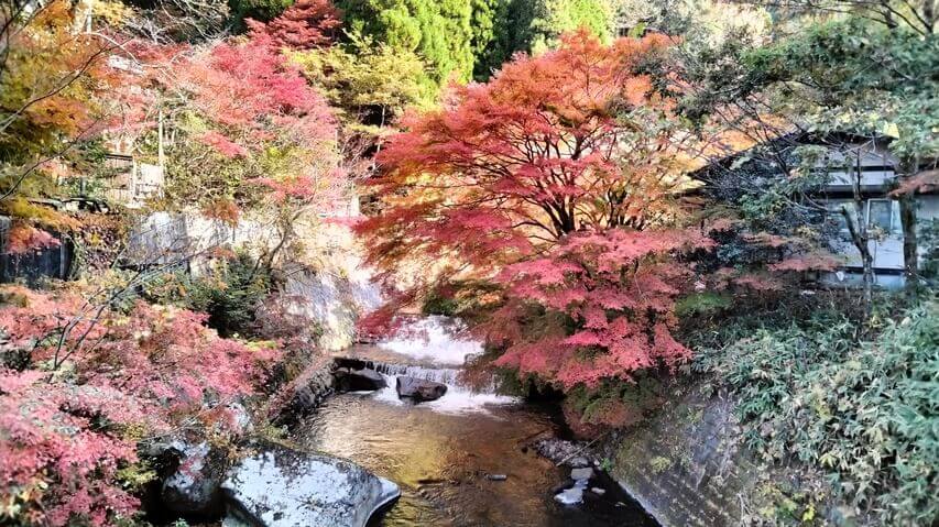 黒川温泉　紅葉